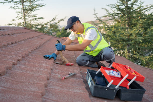 Best Roof Restoration Services  in Panther Valley, NJ