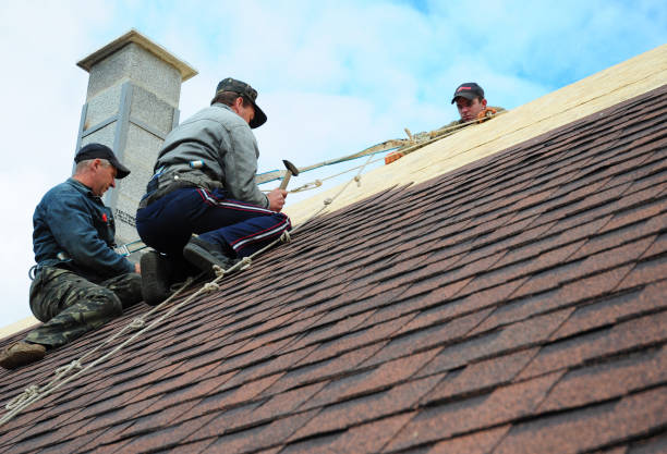 Best Storm Damage Roof Repair  in Panther Valley, NJ